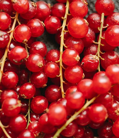 cranberry